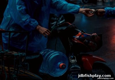 jdb捕鱼试玩平台USDT入金全攻略：失败原因解析与每日奖励最大化技巧