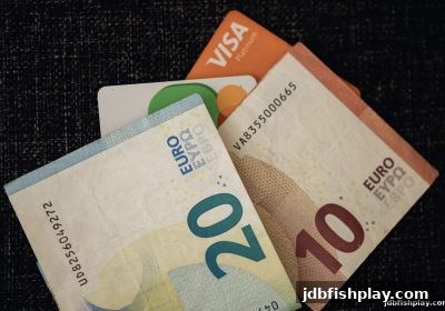 jdb捕鱼试玩平台数字货币入金审核：常见障碍与高效解决方案