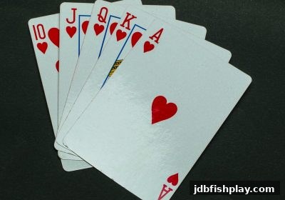 jdb捕鱼试玩:节日红包活动中的灵活应对与策略分享