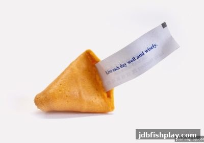jdb捕鱼试玩：支付宝购彩充值全攻略与专家选号技巧深度解析