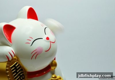 极速赛车进阶指南：jdb捕鱼试玩平台USDT入金的全新体验