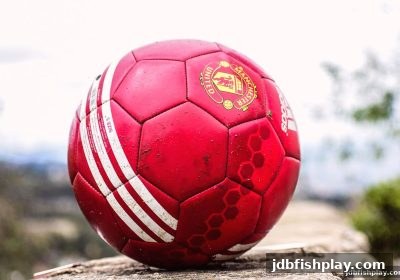 自选与机选策略深度对比：jdb捕鱼试玩带你解析彩票选号与资金安全