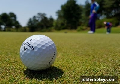 jdb捕鱼试玩玩家必看：复式投注与单式投注的全面对比与实战指南
