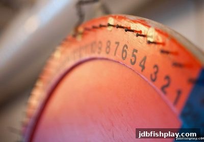 jdb捕鱼试玩：澳门六合彩多重投注技巧全解析——从冷热分析到资金管控