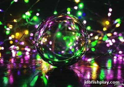 探索胆拖与全包策略：jdb捕鱼试玩视角下的投注优化