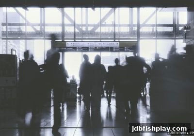 jdb捕鱼试玩视角下的双色球行业变革：趋势分析与资金提取门槛解密