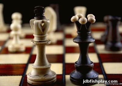 真人麻将行业深度洞察：从jdb捕鱼试玩看Allbet互动娱乐新生态