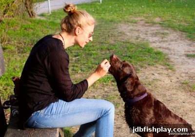 jdb捕鱼试玩回馈活动全解析：玩法逻辑与收益指南