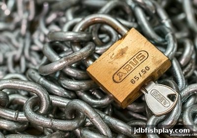 大乐透娱乐平台信誉评估指南：结合jdb捕鱼试玩经验，避开USDT充值陷阱