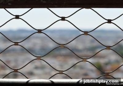 幸运飞艇深度解析：jdb捕鱼试玩教你识别平台风险与安全策略