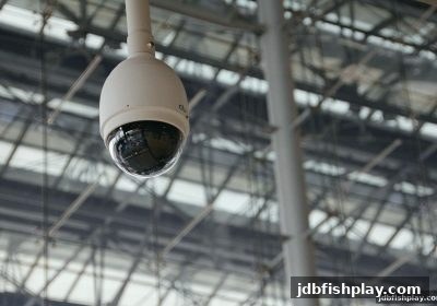 从jdb捕鱼试玩看捕鱼达人维权指南：玩家权益保障与操作全解析