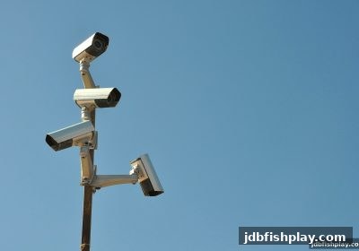 从jdb捕鱼试玩看3D彩票的安全参与：理性分析与风险防范指南