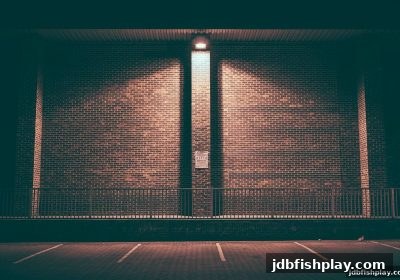 精准捕鱼进阶指南：jdb捕鱼试玩高手教你高效猎杀与能量管理
